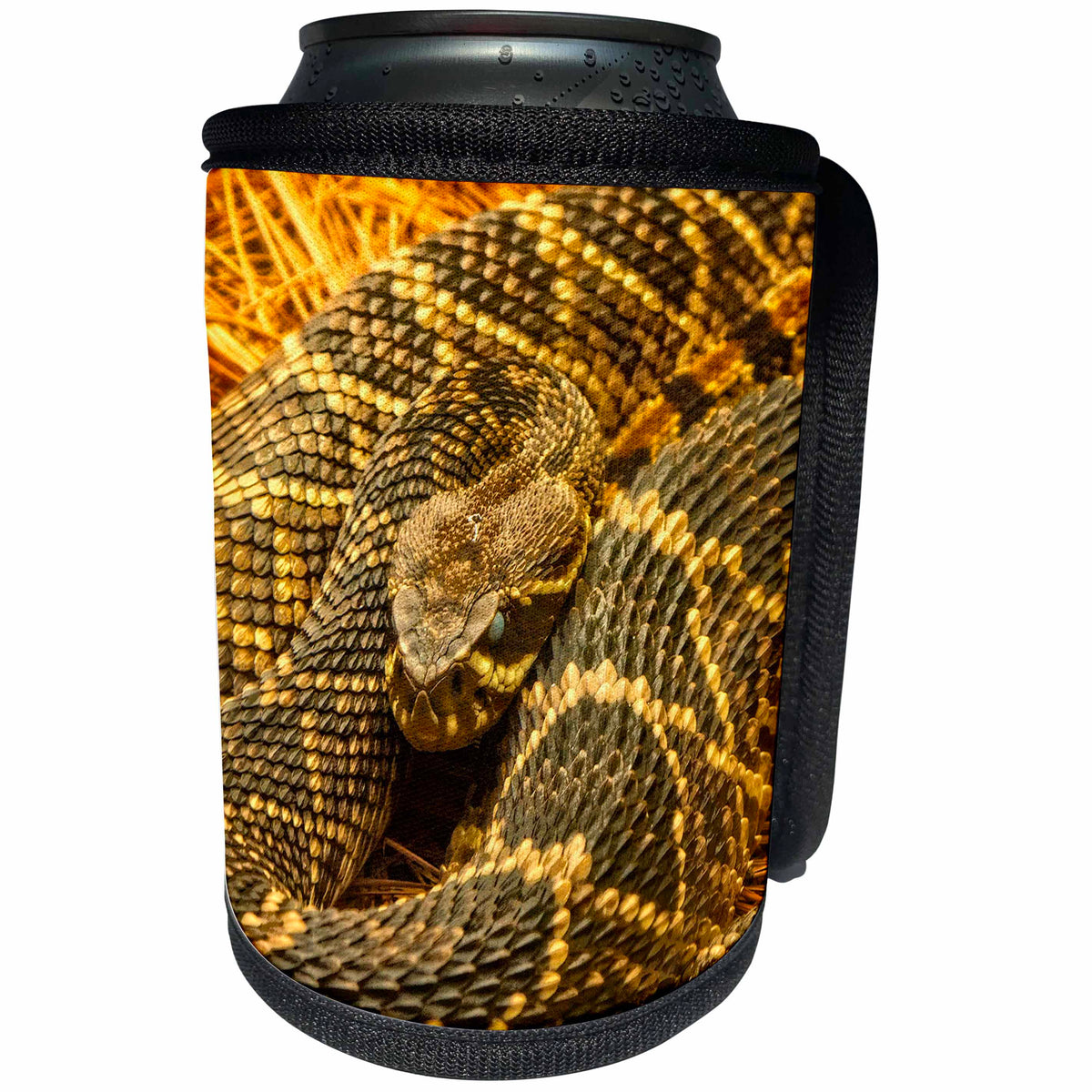 3dRose Mike Swindle Photography - Animals - Rattlesnake - Can Cooler Bottle Wrap (cc_293121)