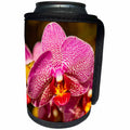 3dRose Mike Swindle Photography- Flowers - Pink Orchid - Can Cooler Bottle Wrap (cc_293124)