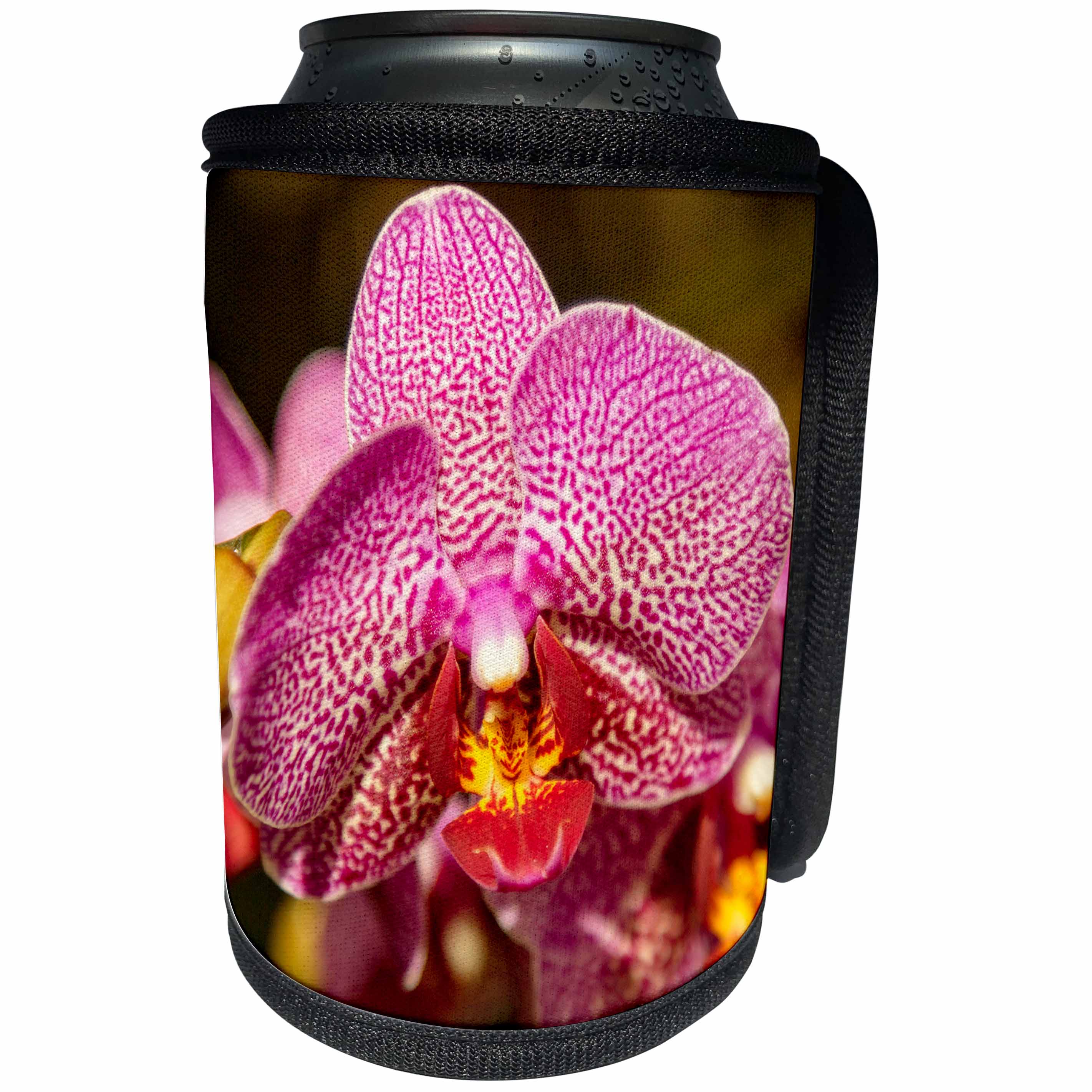 3dRose Mike Swindle Photography- Flowers - Pink Orchid - Can Cooler Bottle Wrap (cc_293124)
