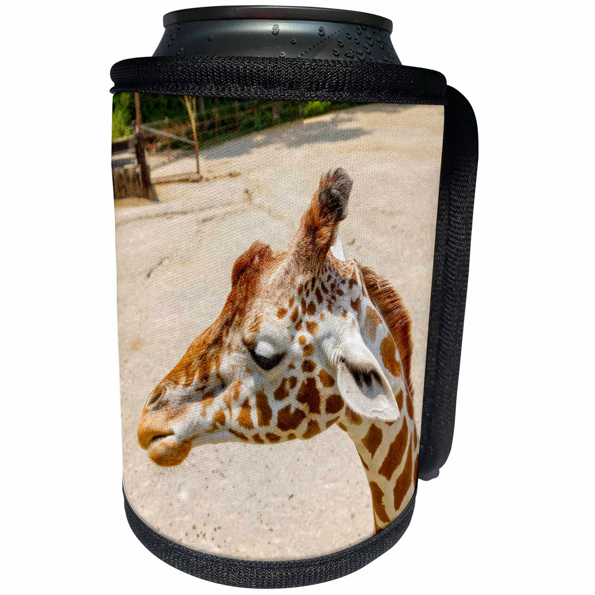 3dRose Mike Swindle Photography - Animals - Giraffe - Can Cooler Bottle Wrap (cc_293129)