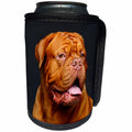 3dRose Sven Herkenrath Animal - Lovely Portrait of Dogue de Bordeaux Animal Photography - Can Cooler Bottle Wrap (cc_293599)