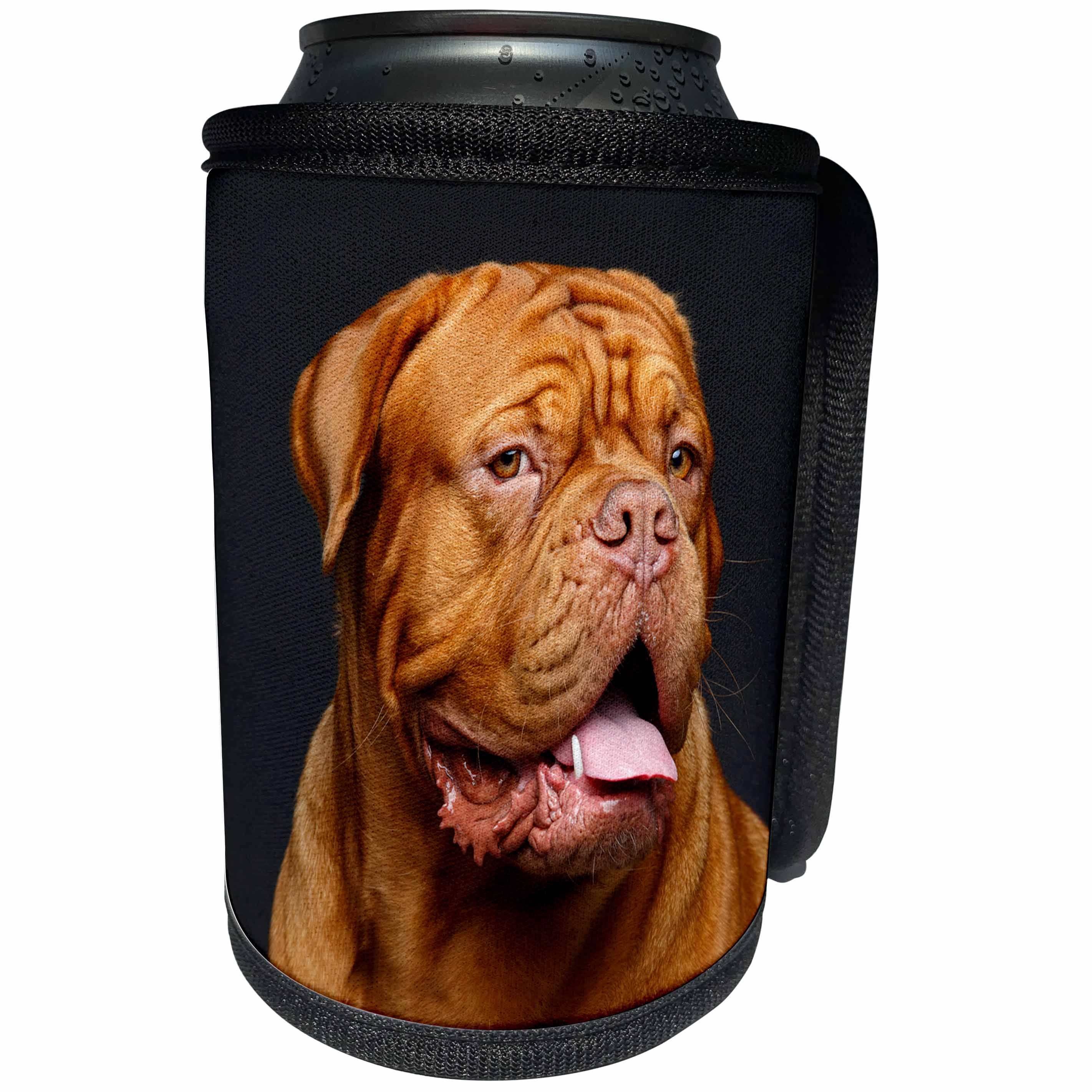 3dRose Sven Herkenrath Animal - Lovely Portrait of Dogue de Bordeaux Animal Photography - Can Cooler Bottle Wrap (cc_293599)