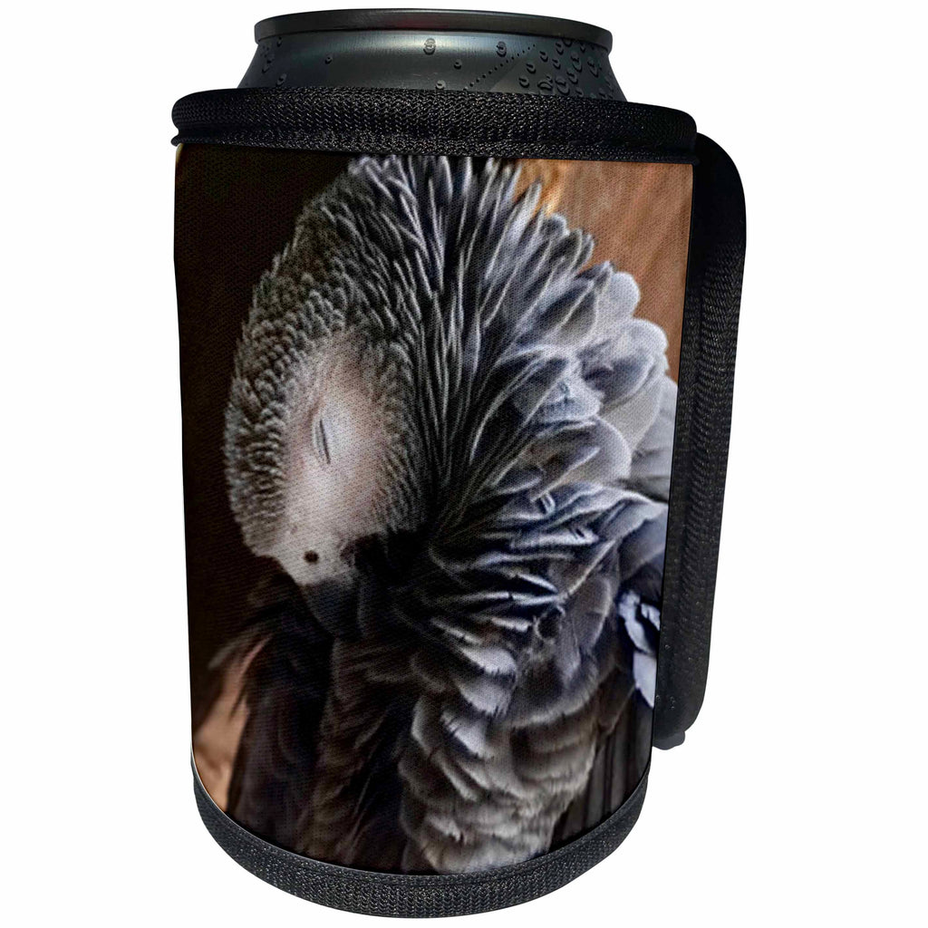3dRose Sven Herkenrath Animal - Adorable Portrait of a Parrot Animal Photography - Can Cooler Bottle Wrap (cc_293601)