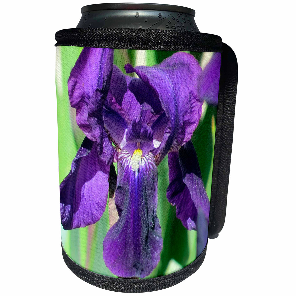 3dRose Jos Fauxtographee- Iris in Purple - A purple Iris shot up close to see the inside details with Yellow - Can Cooler Bottle Wrap (cc_294274)
