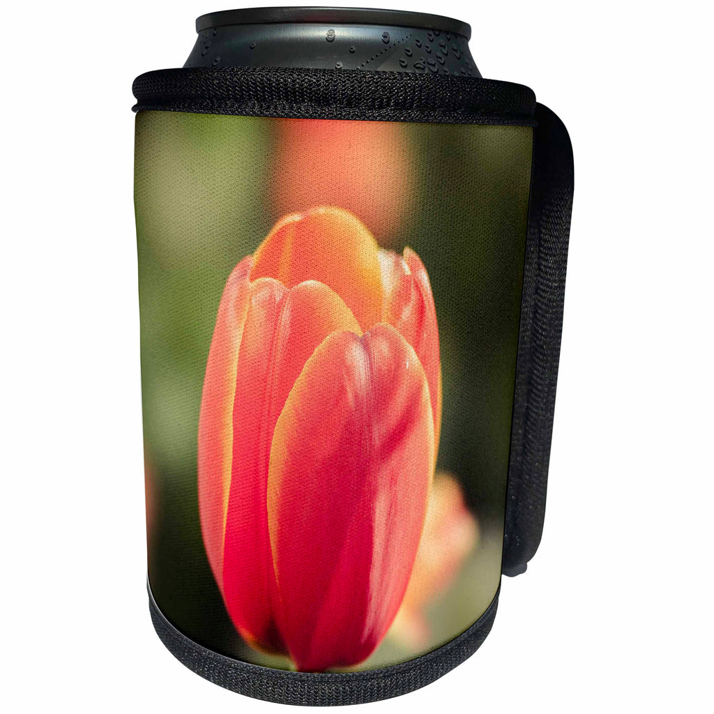3dRose Alexis Photography - Flowers Tulips - Stylized photo of a red tulip flower. Soft warm colors - Can Cooler Bottle Wrap (cc_294558)