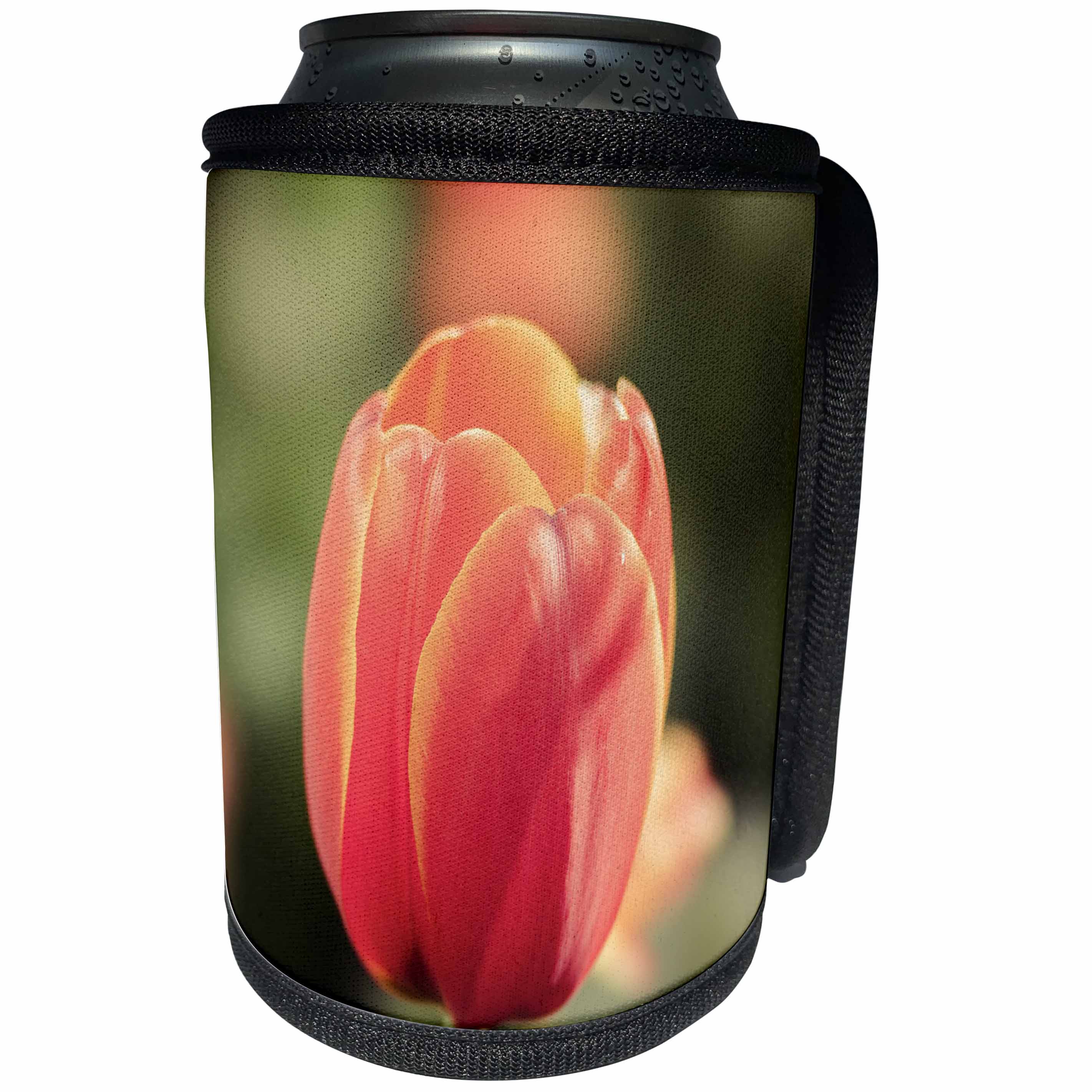 3dRose Alexis Photography - Flowers Tulips - Stylized photo of a red tulip flower. Soft warm colors - Can Cooler Bottle Wrap (cc_294558)