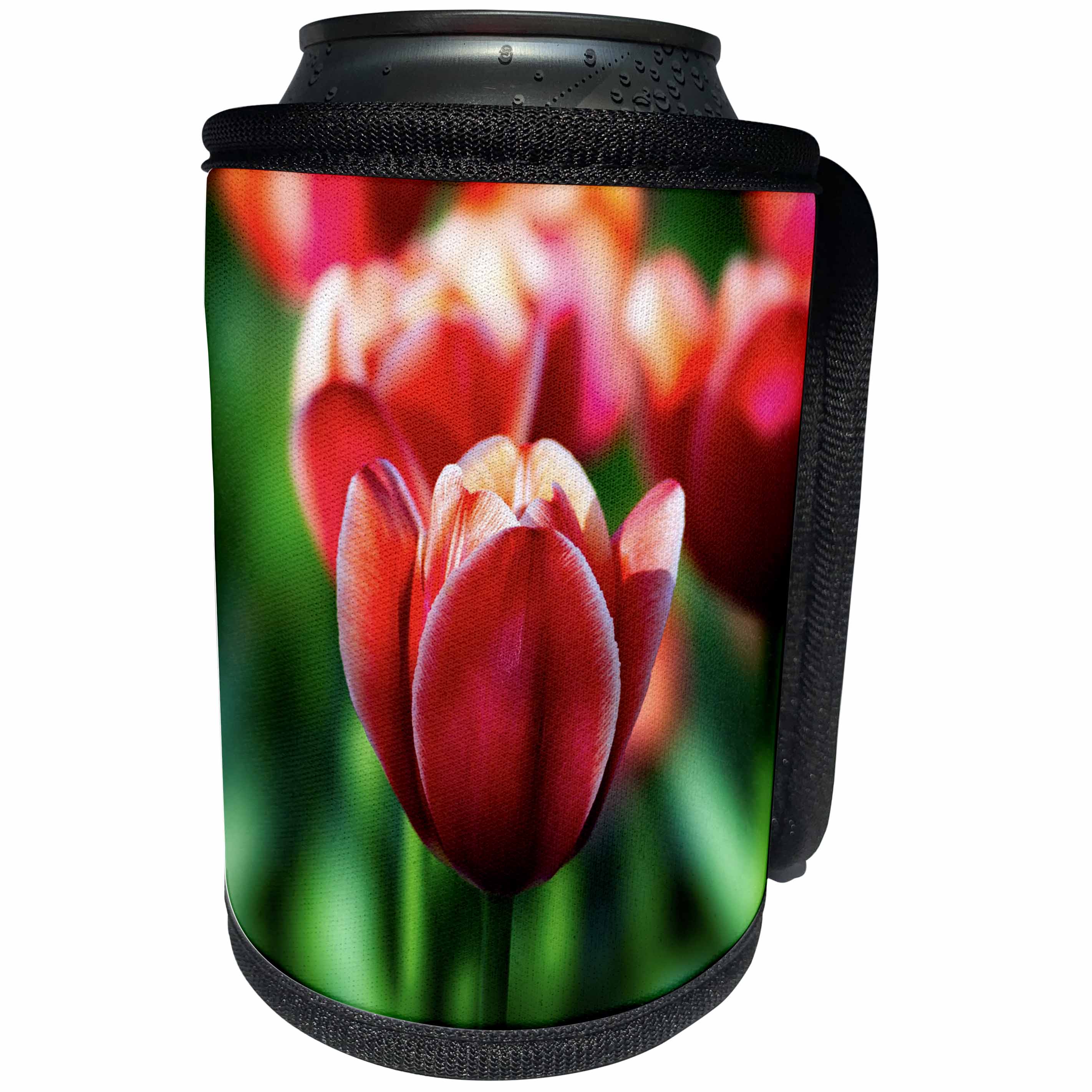 3dRose Alexis Photography - Flowers Tulips - Elegant tulip flowers on a sunny summer day. Red and green colors - Can Cooler Bottle Wrap (cc_294559)