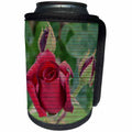 3dRose Patricia Sanders Flowers - Red Roses Wood Design Romantic Flowers - Can Cooler Bottle Wrap (cc_29456)