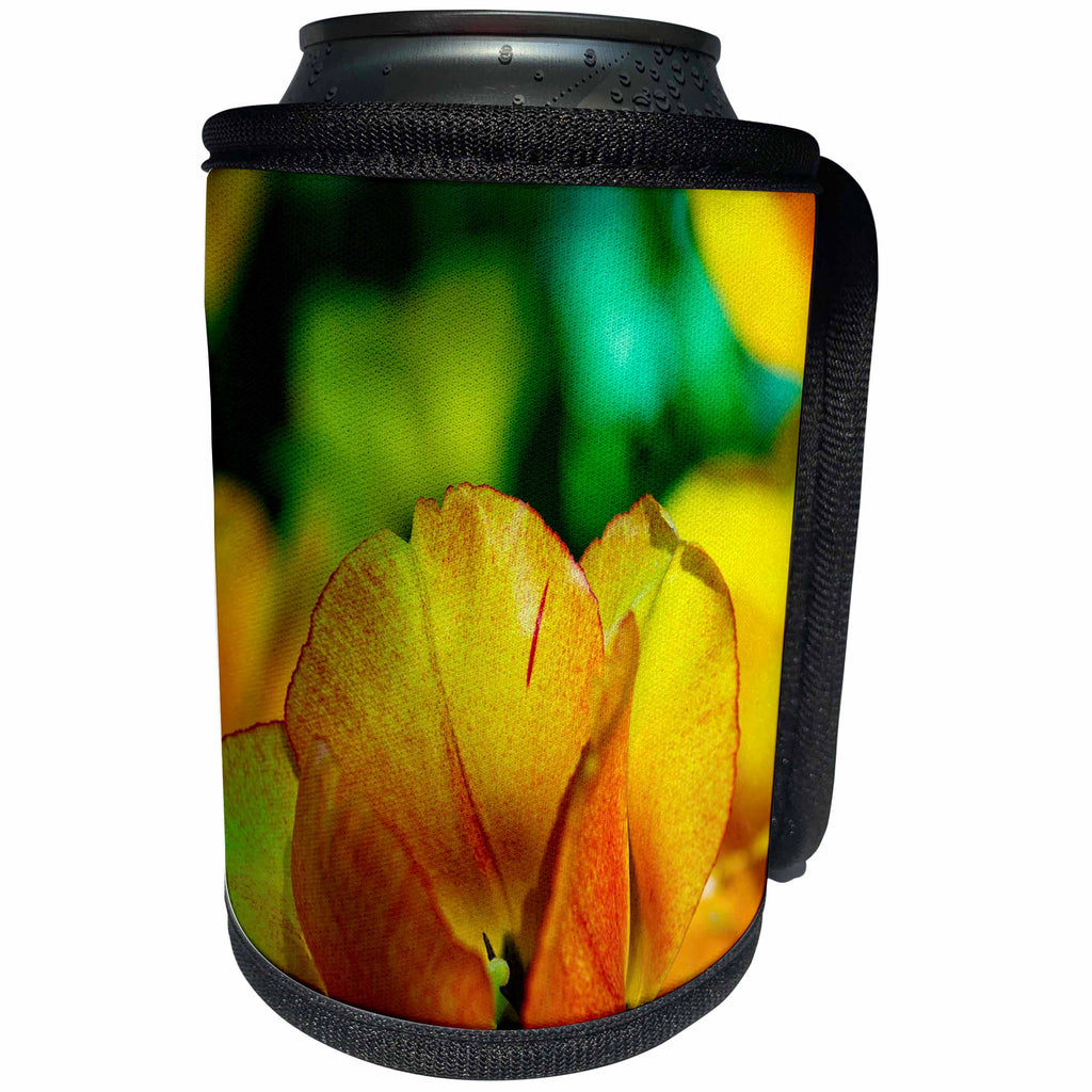 3dRose Alexis Photography - Flowers Tulips - Sunlit colorful yellow, orange tulip. Spring is in the garden - Can Cooler Bottle Wrap (cc_294562)
