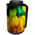 3dRose Alexis Photography - Flowers Tulips - Sunlit colorful yellow, orange tulip. Spring is in the garden - Can Cooler Bottle Wrap (cc_294562)