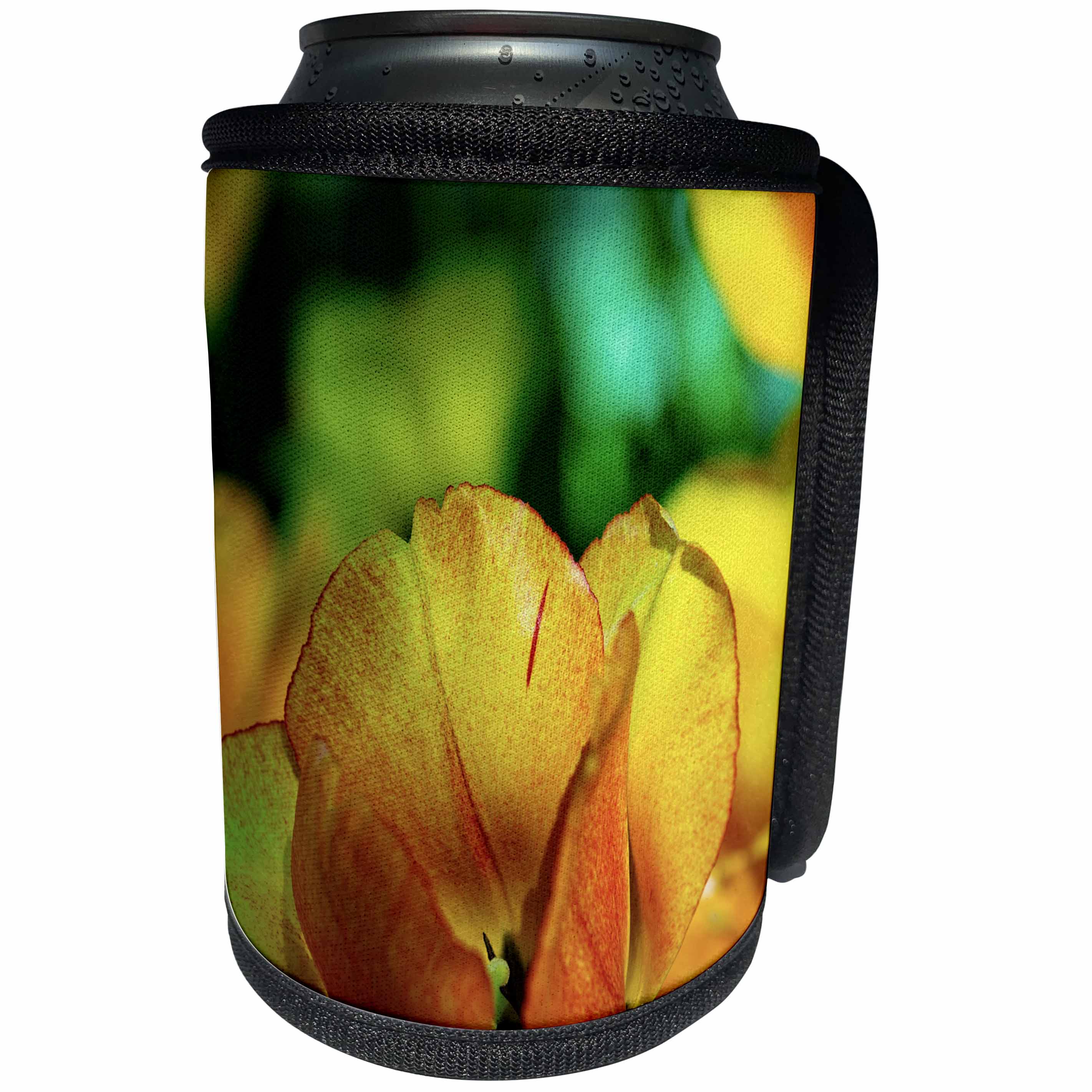 3dRose Alexis Photography - Flowers Tulips - Sunlit colorful yellow, orange tulip. Spring is in the garden - Can Cooler Bottle Wrap (cc_294562)