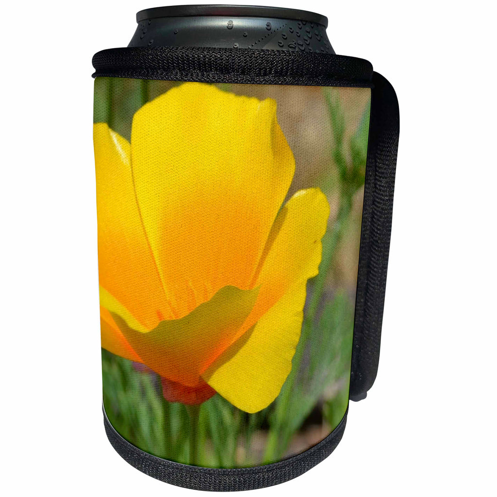 3dRose Patricia Sanders Flowers - Exquisite Poppy Flower Photography Floral - Can Cooler Bottle Wrap (cc_29502)