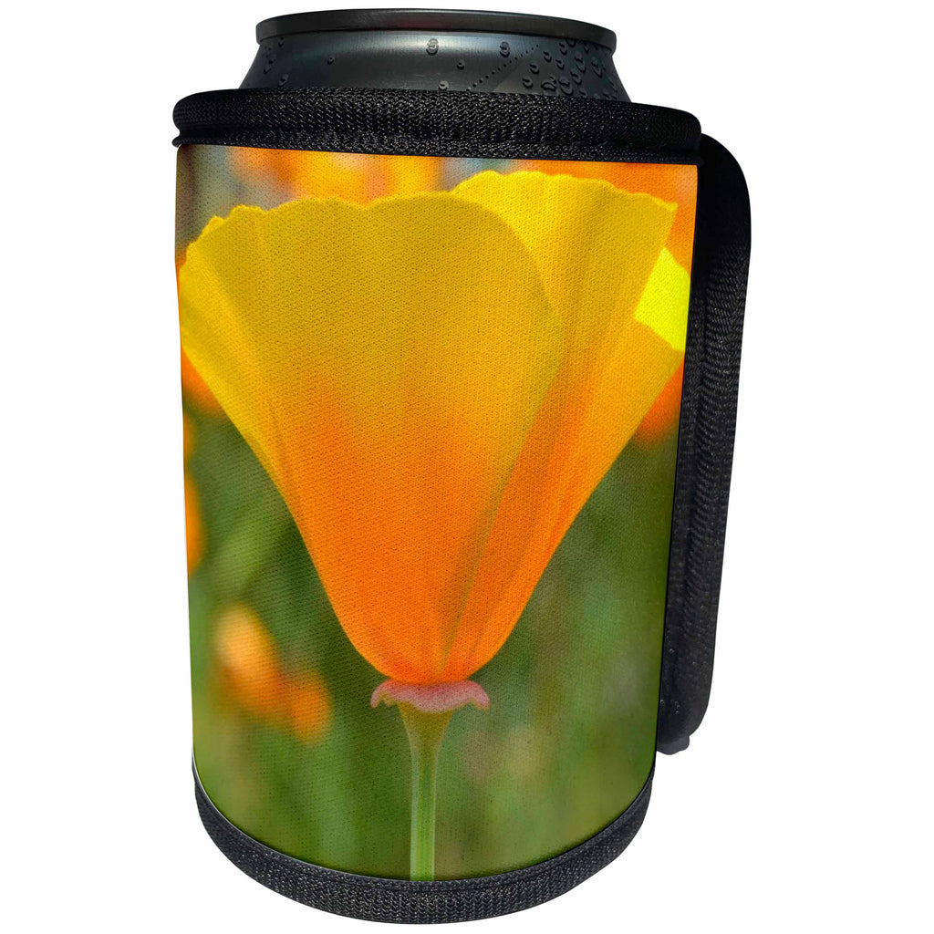 3dRose Patricia Sanders Flowers - California Poppy Orange Flower Floral Photography Nature - Can Cooler Bottle Wrap (cc_29504)