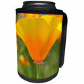 3dRose Patricia Sanders Flowers - California Poppy Orange Flower Floral Photography Nature - Can Cooler Bottle Wrap (cc_29504)
