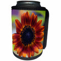 3dRose Stamp City - flowers - Close-up photo of a reddish-orange sunflower growing in out garden. - Can Cooler Bottle Wrap (cc_295279)