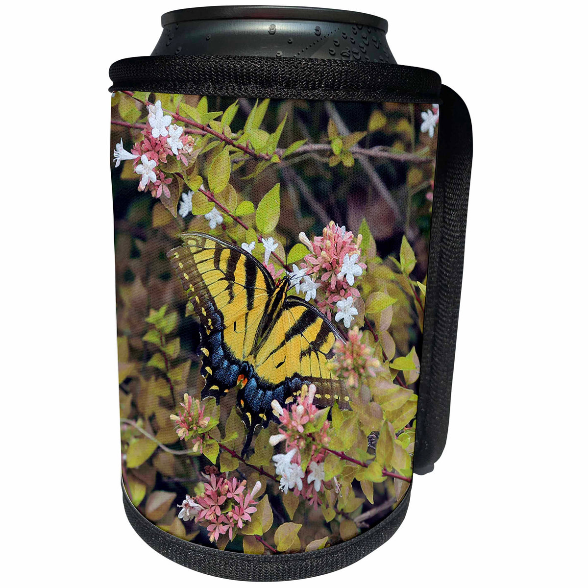 3dRose Stamp City - nature - Photograph of a beautiful eastern tiger swallowtail on an abelia bush. - Can Cooler Bottle Wrap (cc_295289)