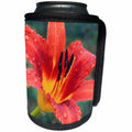 3dRose Stamp City - flowers - Photograph of an orange tiger from our our garden after the rain. - Can Cooler Bottle Wrap (cc_295296)