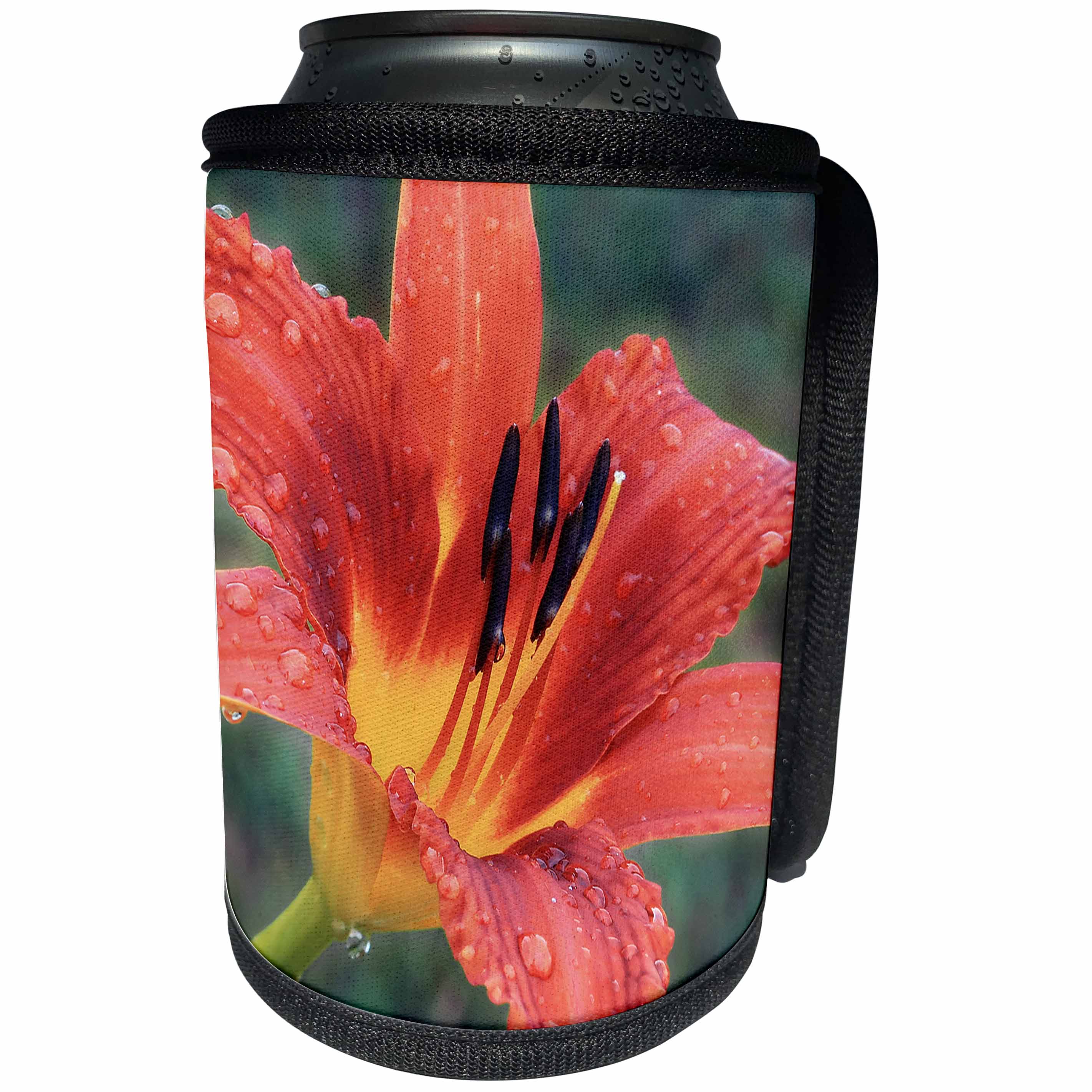 3dRose Stamp City - flowers - Photograph of an orange tiger from our our garden after the rain. - Can Cooler Bottle Wrap (cc_295296)
