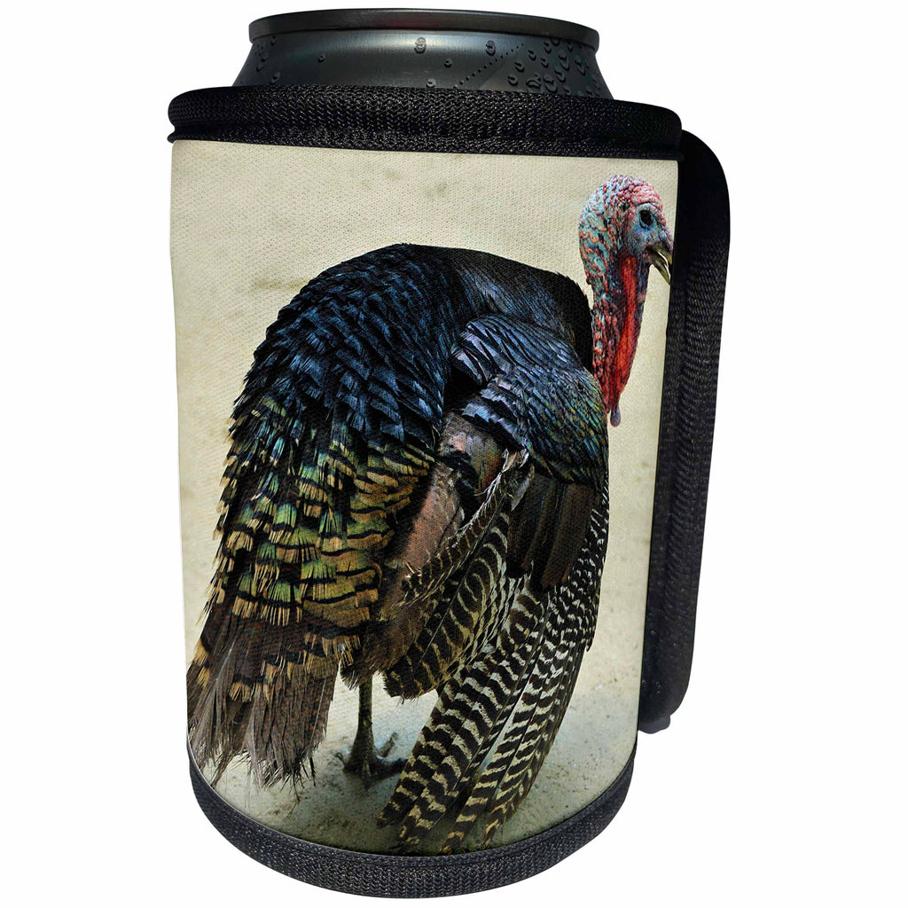 3dRose Stamp City - birds - Photograph of a colorful turkey out for a stroll at the petting zoo. - Can Cooler Bottle Wrap (cc_295301)
