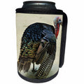 3dRose Stamp City - birds - Photograph of a colorful turkey out for a stroll at the petting zoo. - Can Cooler Bottle Wrap (cc_295301)