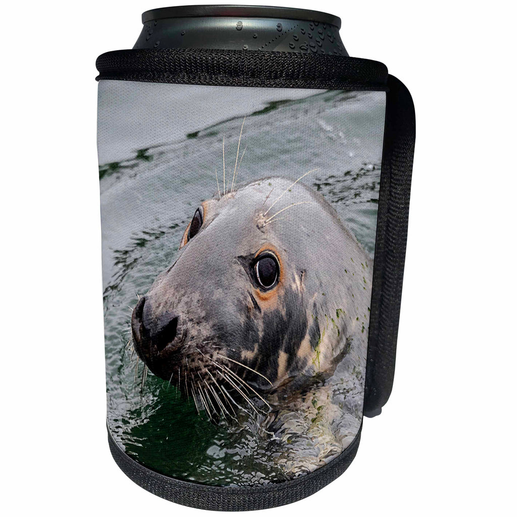 3dRose Roni Chastain Photography - Harbor seal - Can Cooler Bottle Wrap (cc_295313)