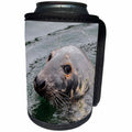 3dRose Roni Chastain Photography - Harbor seal - Can Cooler Bottle Wrap (cc_295313)