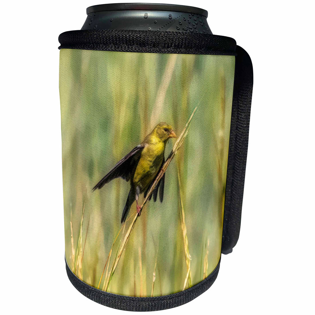3dRose Roni Chastain Photography - Gold Finch in the reeds - Can Cooler Bottle Wrap (cc_295322)