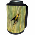 3dRose Roni Chastain Photography - Gold Finch in the reeds - Can Cooler Bottle Wrap (cc_295322)