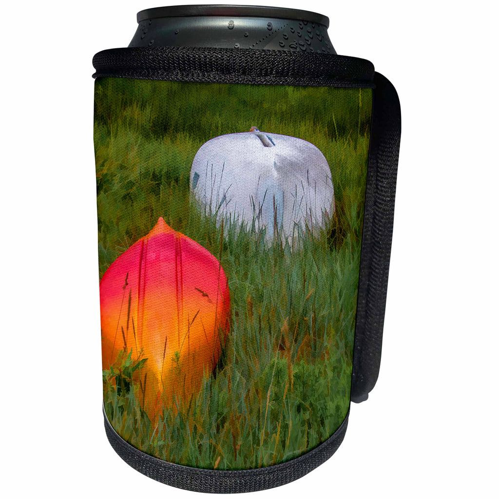 3dRose Roni Chastain Photography - Kayaks in the marsh - Can Cooler Bottle Wrap (cc_295326)