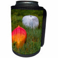 3dRose Roni Chastain Photography - Kayaks in the marsh - Can Cooler Bottle Wrap (cc_295326)