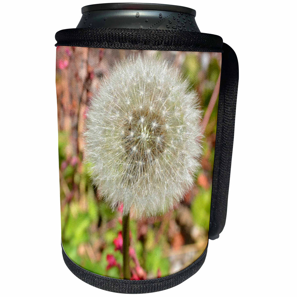 3dRose Patricia Sanders Flowers - Dandelion Wishing Flower Floral Photography Nature Flower Photography - Can Cooler Bottle Wrap (cc_29533)