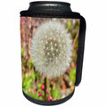 3dRose Patricia Sanders Flowers - Dandelion Wishing Flower Floral Photography Nature Flower Photography - Can Cooler Bottle Wrap (cc_29533)