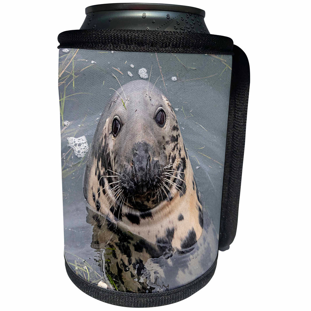 3dRose Roni Chastain Photography - Gray Seal - Can Cooler Bottle Wrap (cc_295336)