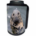 3dRose Roni Chastain Photography - Gray Seal - Can Cooler Bottle Wrap (cc_295336)