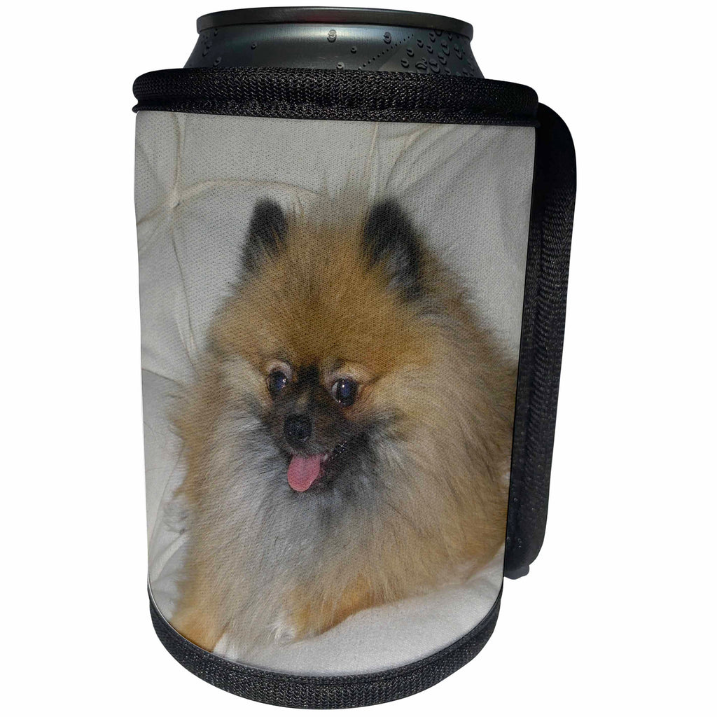 3dRose Patricia Sanders Animals - Pomeranian Cute Dogs Dog Photography Animals - Can Cooler Bottle Wrap (cc_29534)