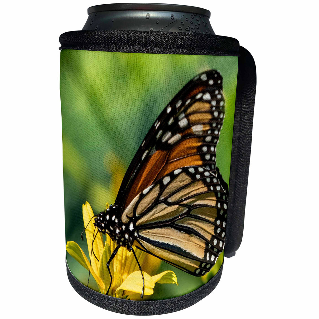 3dRose Roni Chastain Photography - Butterfly - Can Cooler Bottle Wrap (cc_295732)