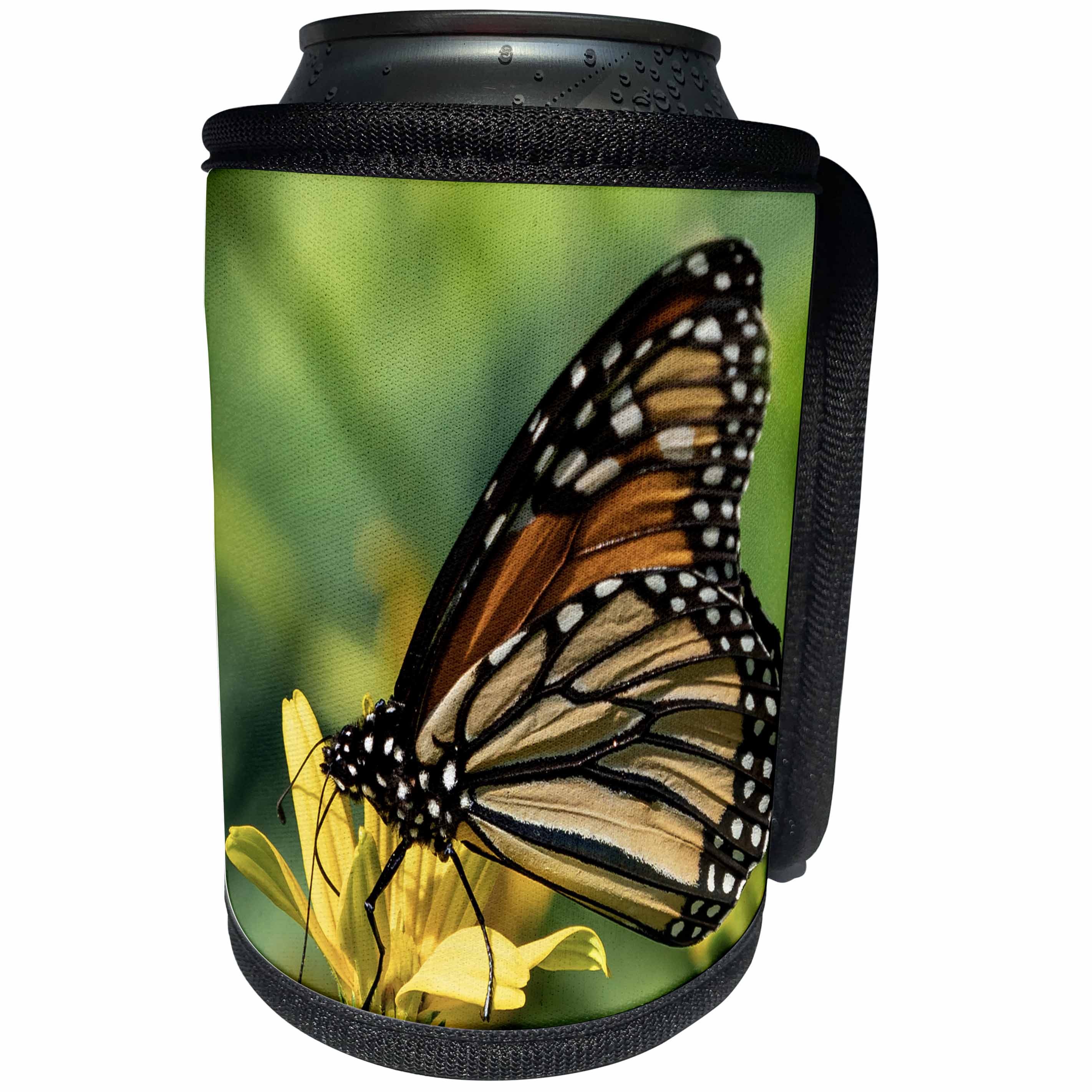 3dRose Roni Chastain Photography - Butterfly - Can Cooler Bottle Wrap (cc_295732)
