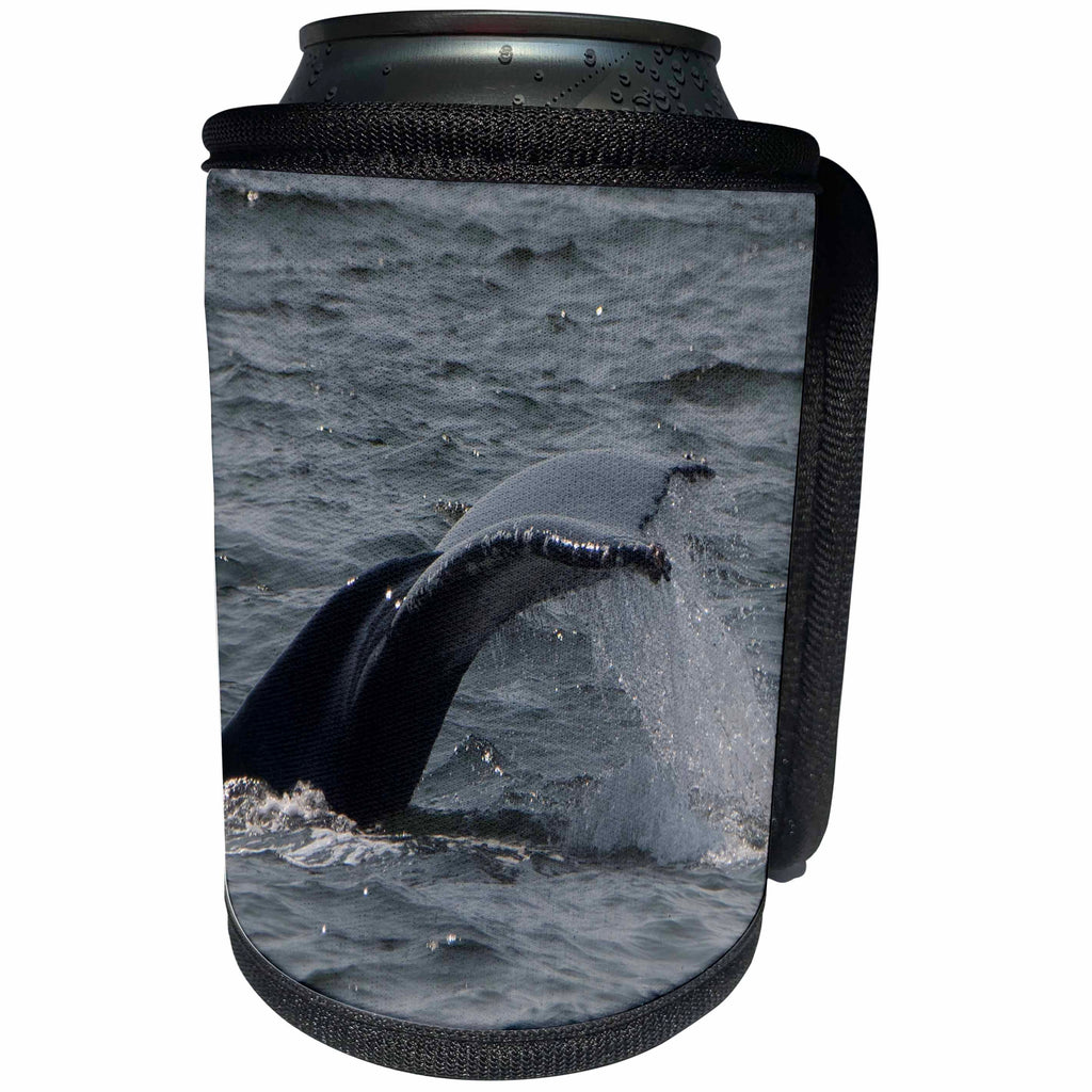 3dRose Roni Chastain Photography - Whale diving - Can Cooler Bottle Wrap (cc_295740)