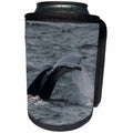 3dRose Roni Chastain Photography - Whale diving - Can Cooler Bottle Wrap (cc_295740)