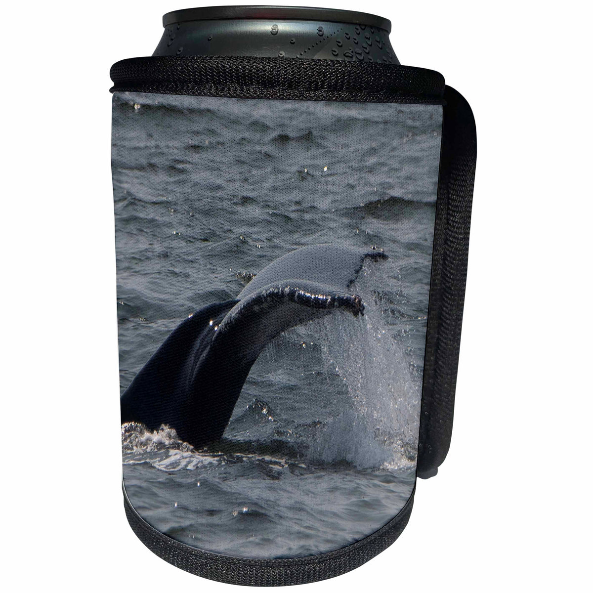 3dRose Roni Chastain Photography - Whale diving - Can Cooler Bottle Wrap (cc_295740)