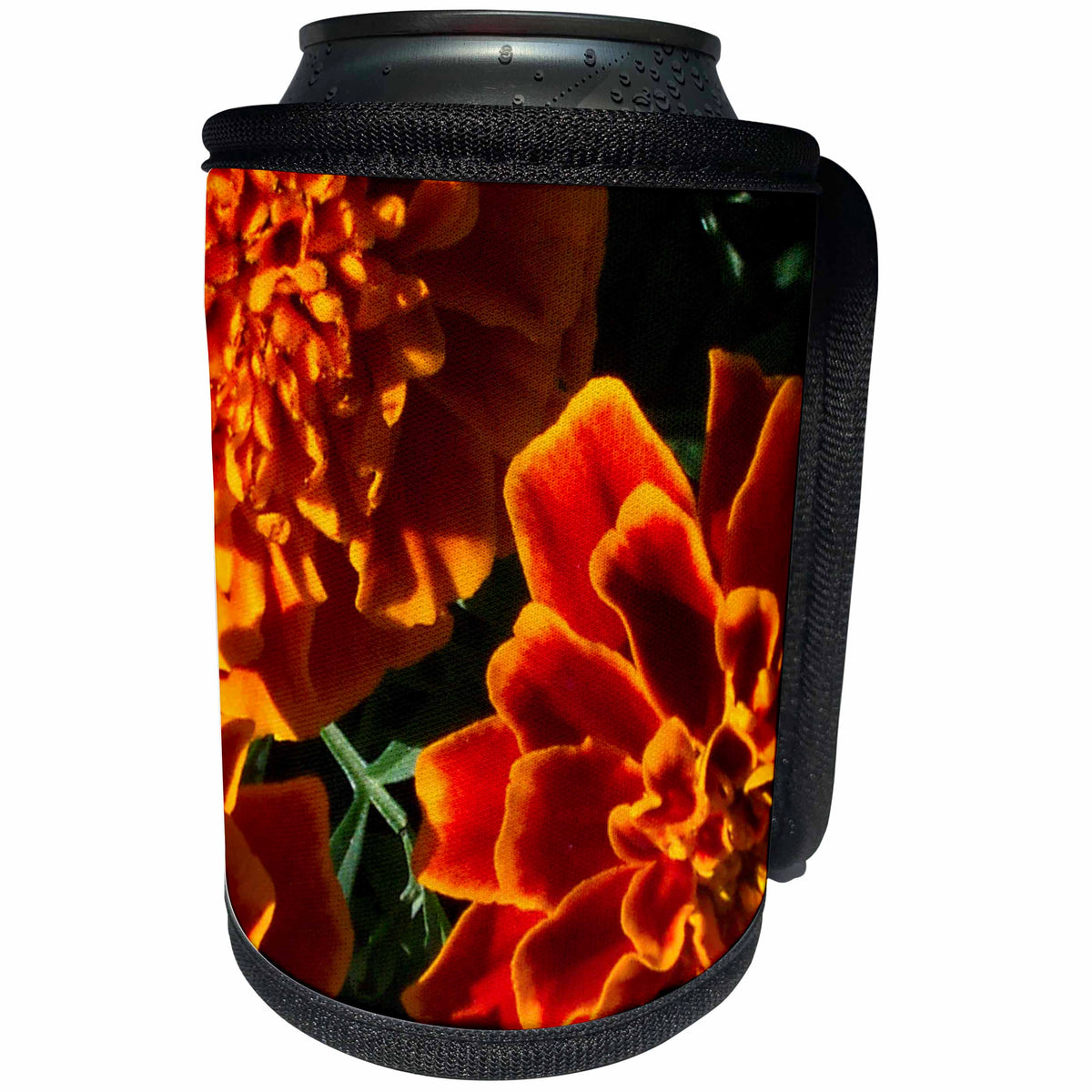 3dRose TDSwhite – Spring Seasonal Nature Photos - Orange Marigolds Flowers - Can Cooler Bottle Wrap (cc_296474)