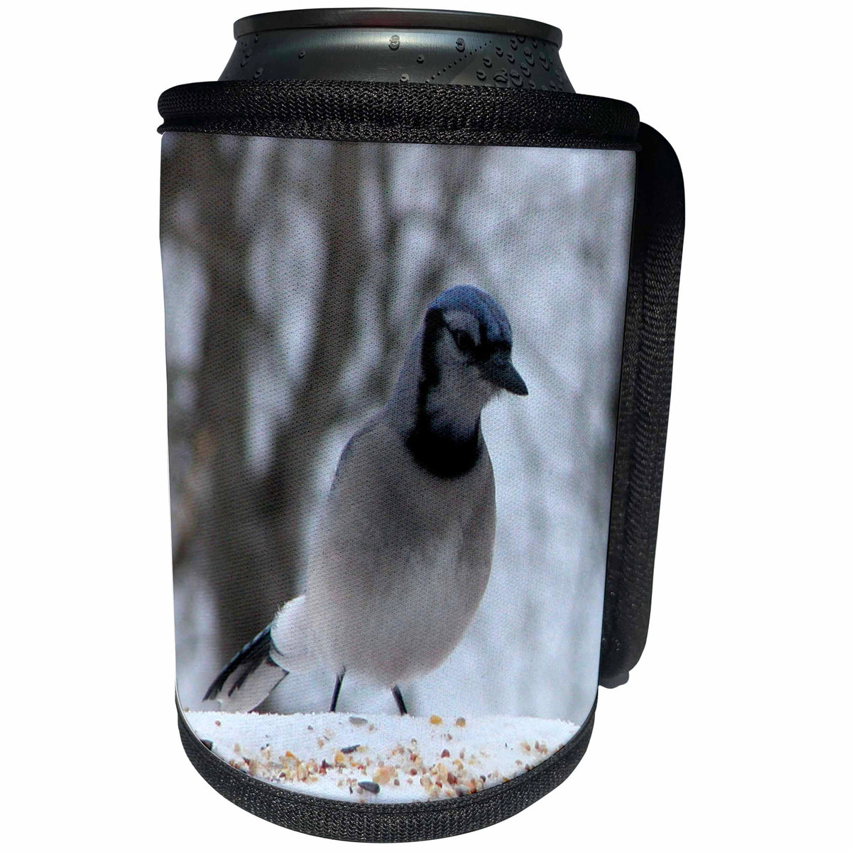 3dRose Beverly Turner Bird Photography - Bluejay Ready to Eat - Can Cooler Bottle Wrap (cc_29648)