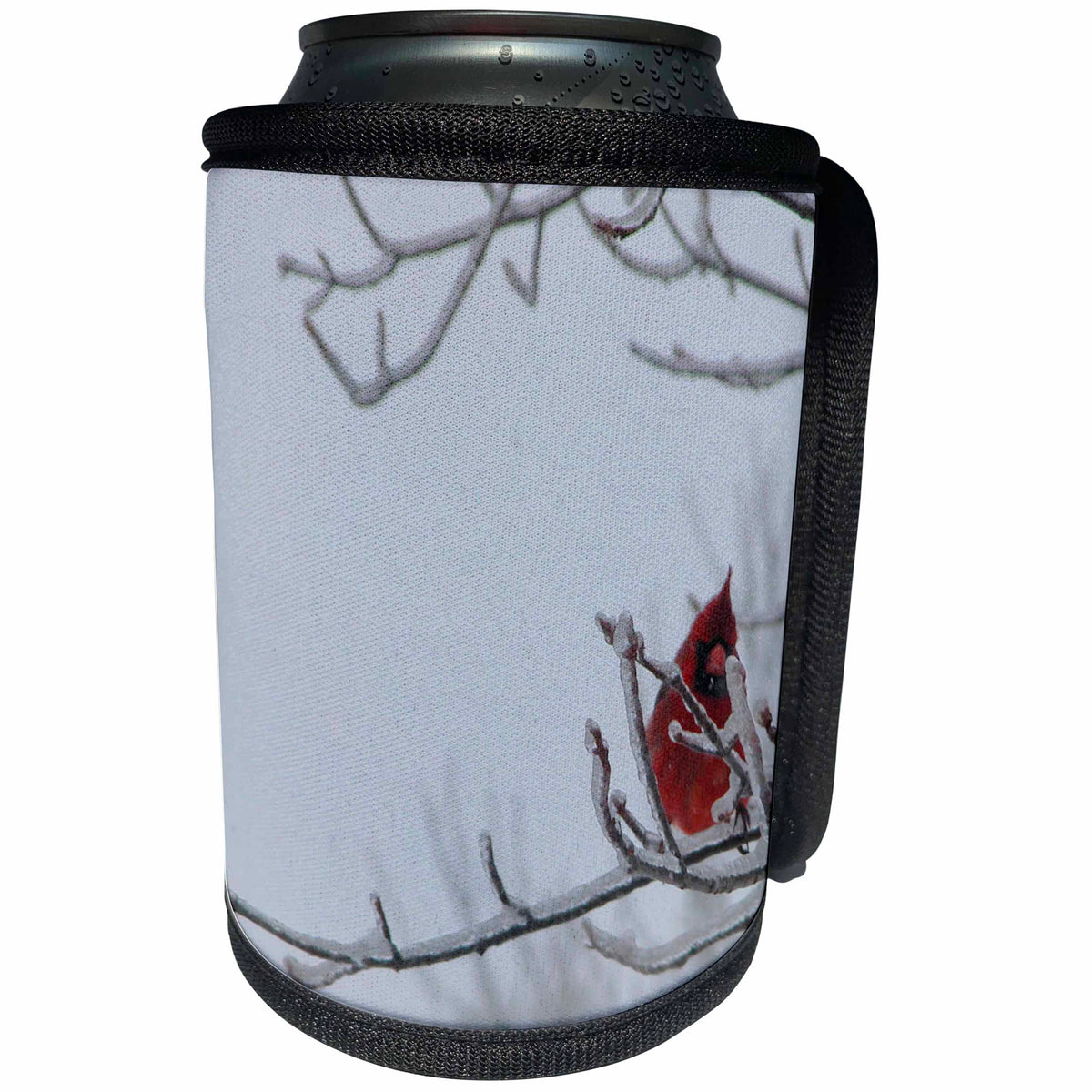 3dRose Beverly Turner Bird Photography - Carninal on Icey Branch - Can Cooler Bottle Wrap (cc_29651)