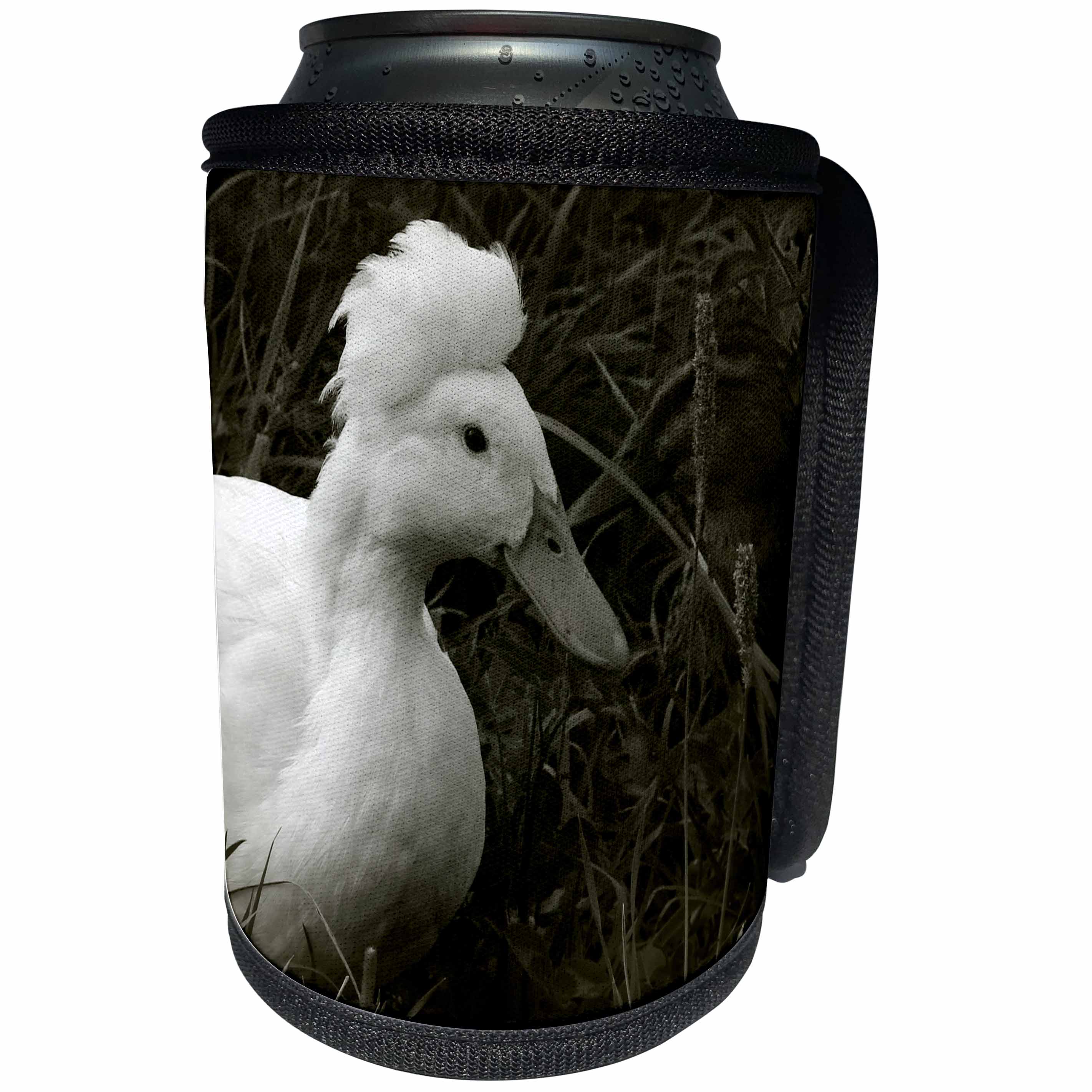 3dRose Cassie Peters Birds - Crested Duck in Black and White - Can Cooler Bottle Wrap (cc_296823)