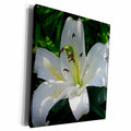 3dRose Taiche Photography - Flower Lily White - Museum Grade Canvas Wrap (cw_21421)