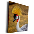 3dRose RinaPiro - Birds - Crowned crane, bird - Museum Grade Canvas Wrap (cw_215187)