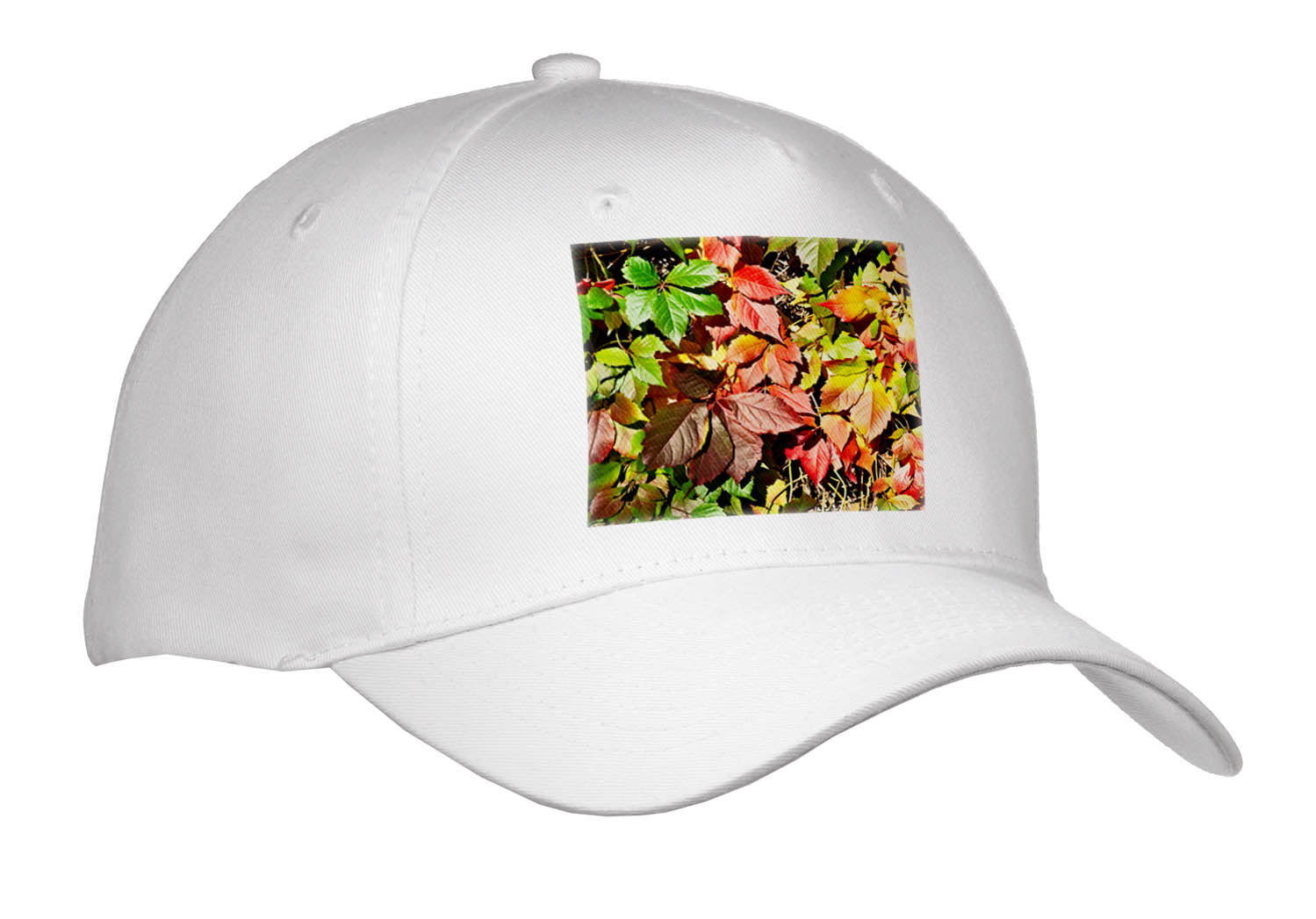 3dRose Colorful Leaves of Virginia Creeper Plant on a Sunny Autumn Day - Caps (Cap_336580)