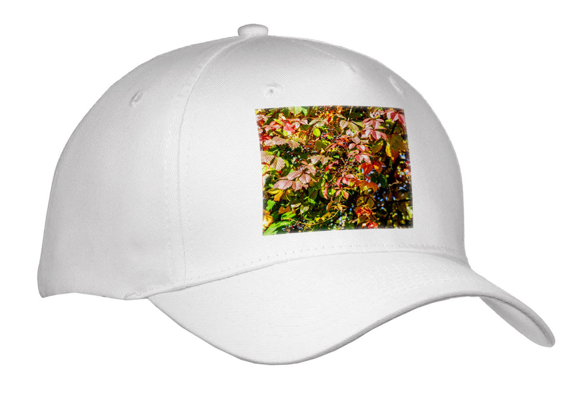 3dRose Colorful Leaves and Blue Berries of Virginia Creeper in Autumn - Caps (Cap_336582)
