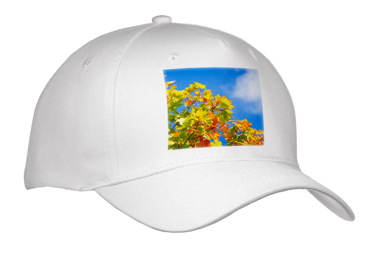 3dRose Yellow, Green Maple Leaves Against The Background of The Blue Sky - Caps (Cap_336583)