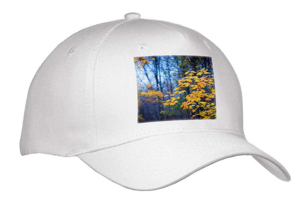 3dRose Yellow Maple Leaves on a Rainy Autumn Day in The Park - Caps (Cap_336584)